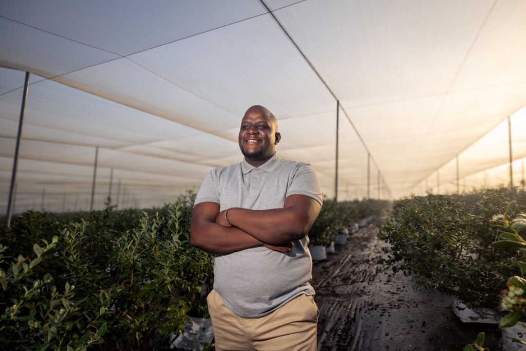 man in barberton blueberry field